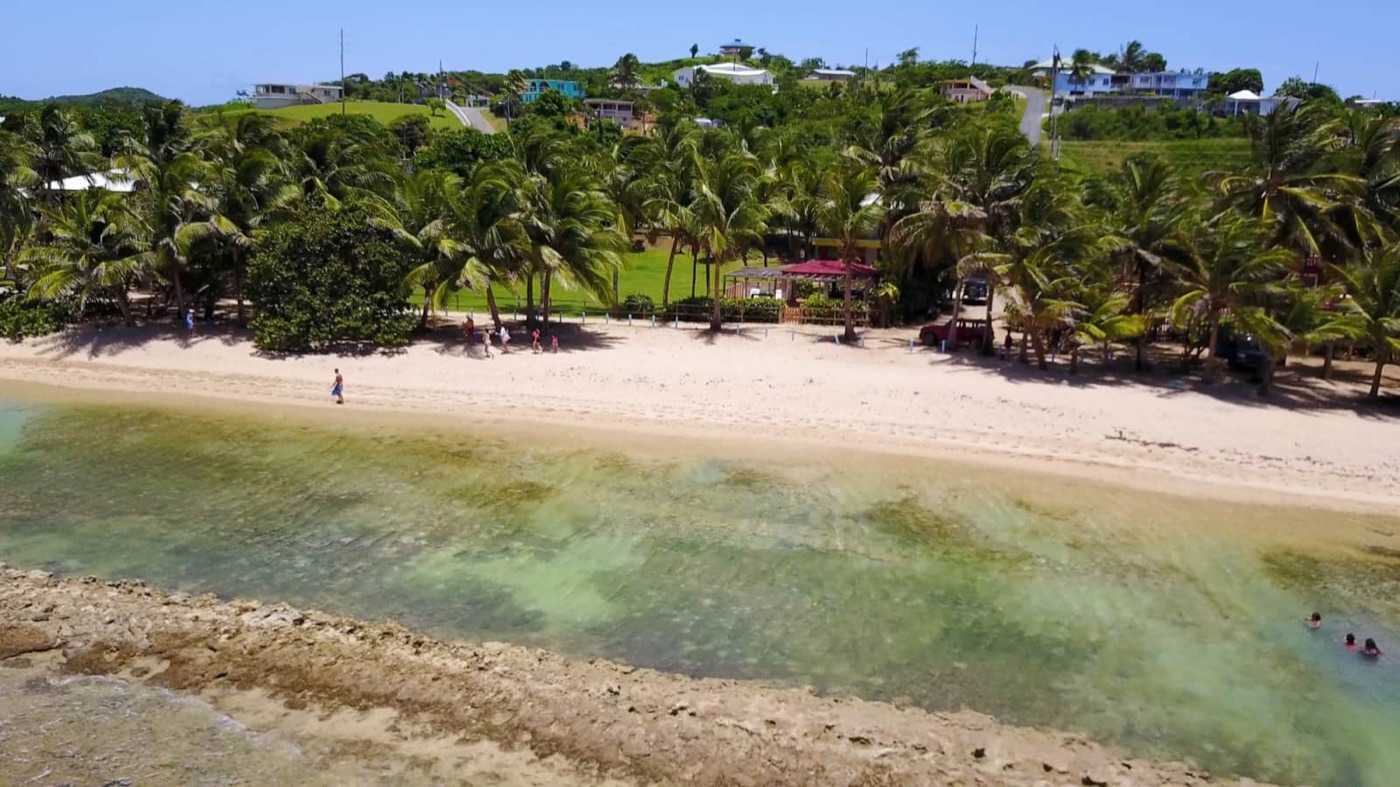 Aerial view of the cove with the property's gazebo, palms and beach