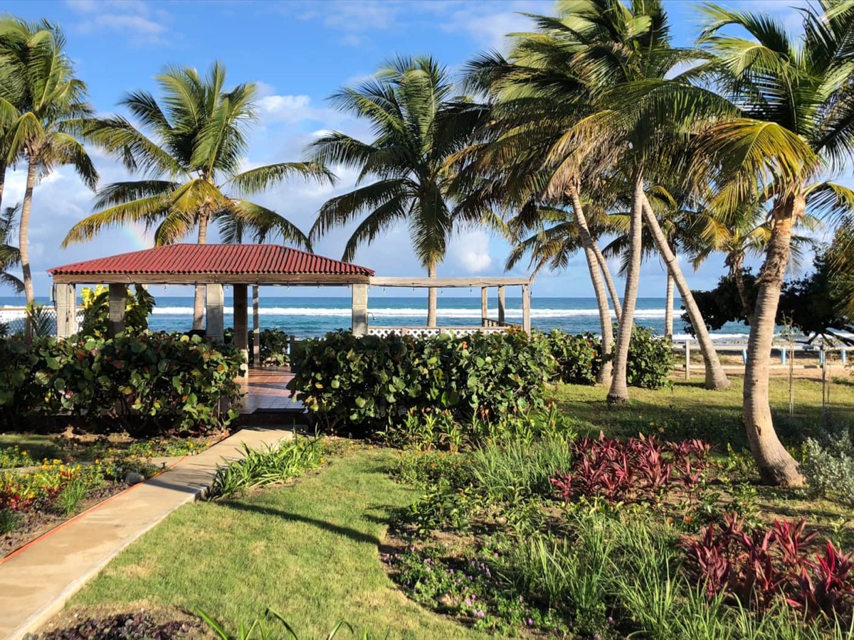 Beachfront gazebo framed by palms with a garden path leading to the sea